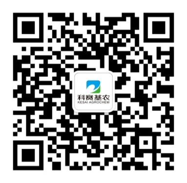 1678089464254875.png 科赛官方微信.png