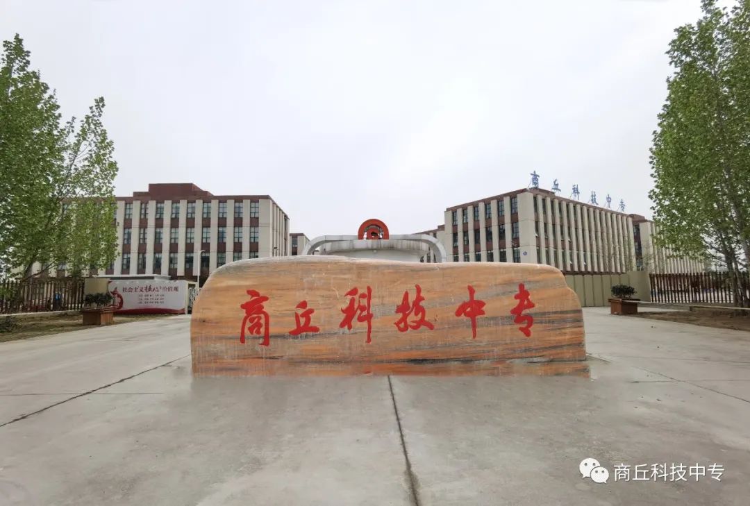 IMG_20220413_085315.jpg 图片