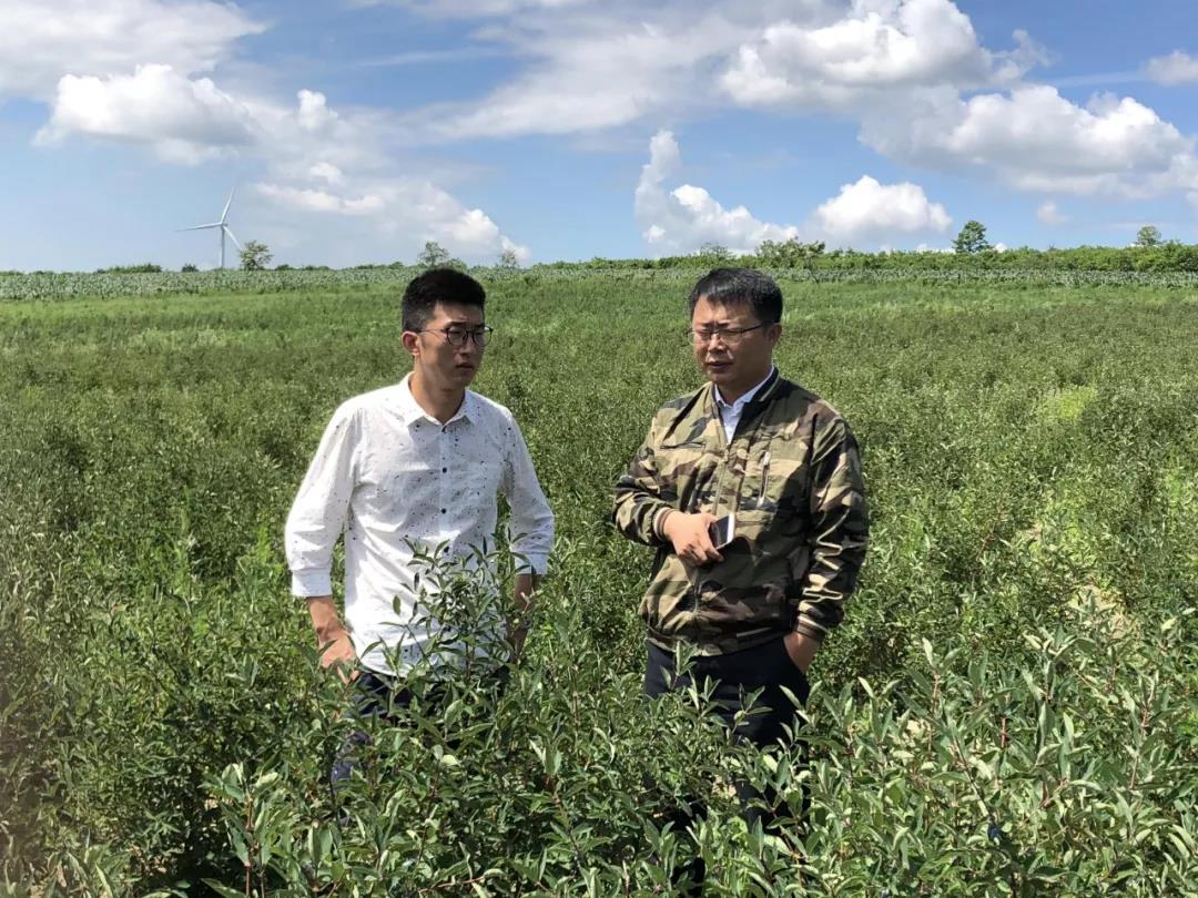 1569226482291498.jpg 1569226482291498.jpg