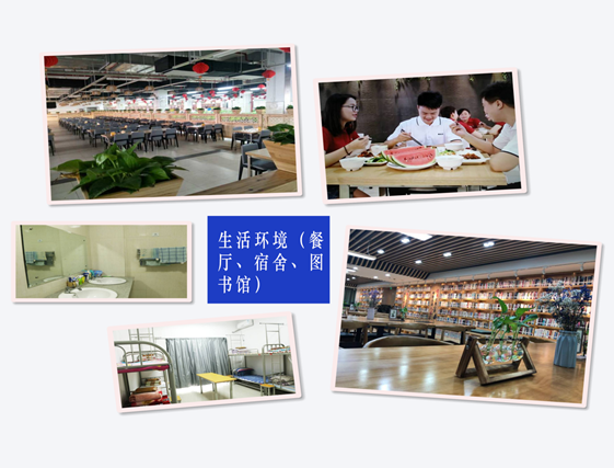 1571731250824067.png image.png