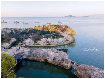 1617936991852267.png image.png