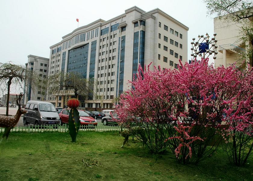 1637214103715740.jpg 91FD761CDDBB6EFFEFBE63B5099_0655BCDB_24165.jpg