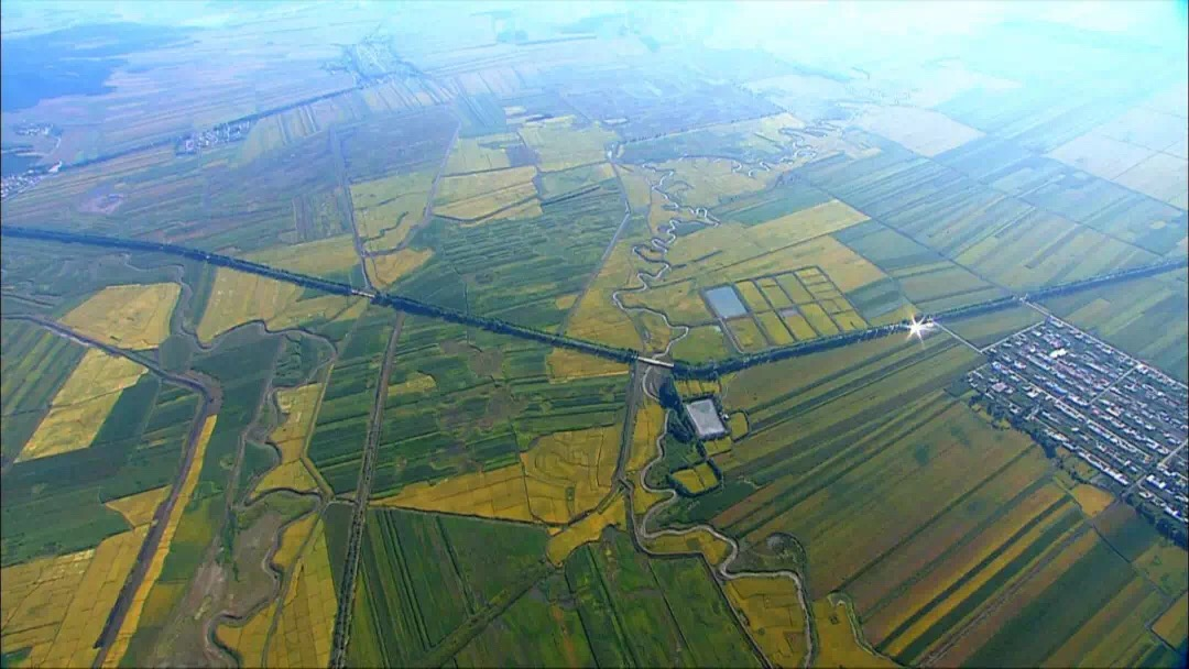 1638171588244245.png 1.png