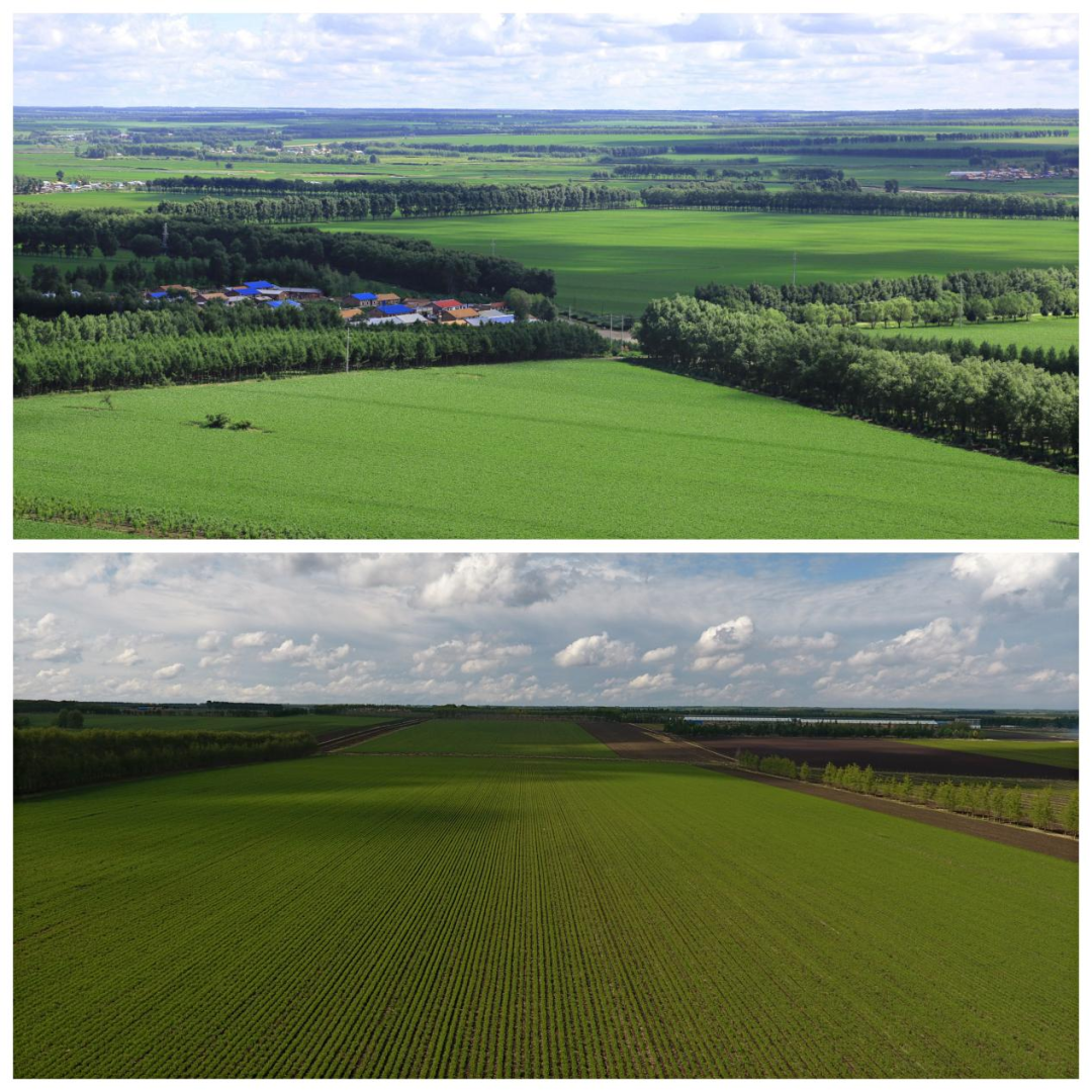 1651831813183221.png 1651831813183221.png