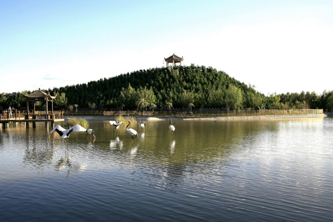 1651831862191616.png 1651831862191616.png