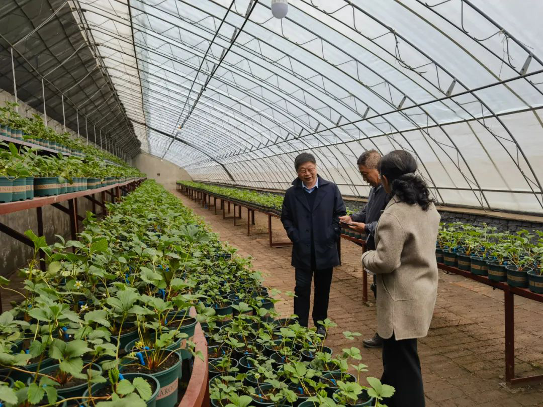 1682228479230804.png 1682228479230804.png