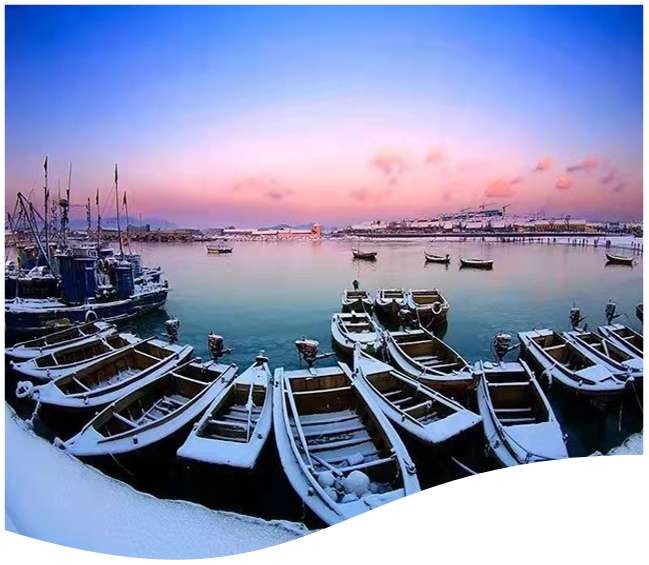 1702563267306971.png 1702563267306971.png